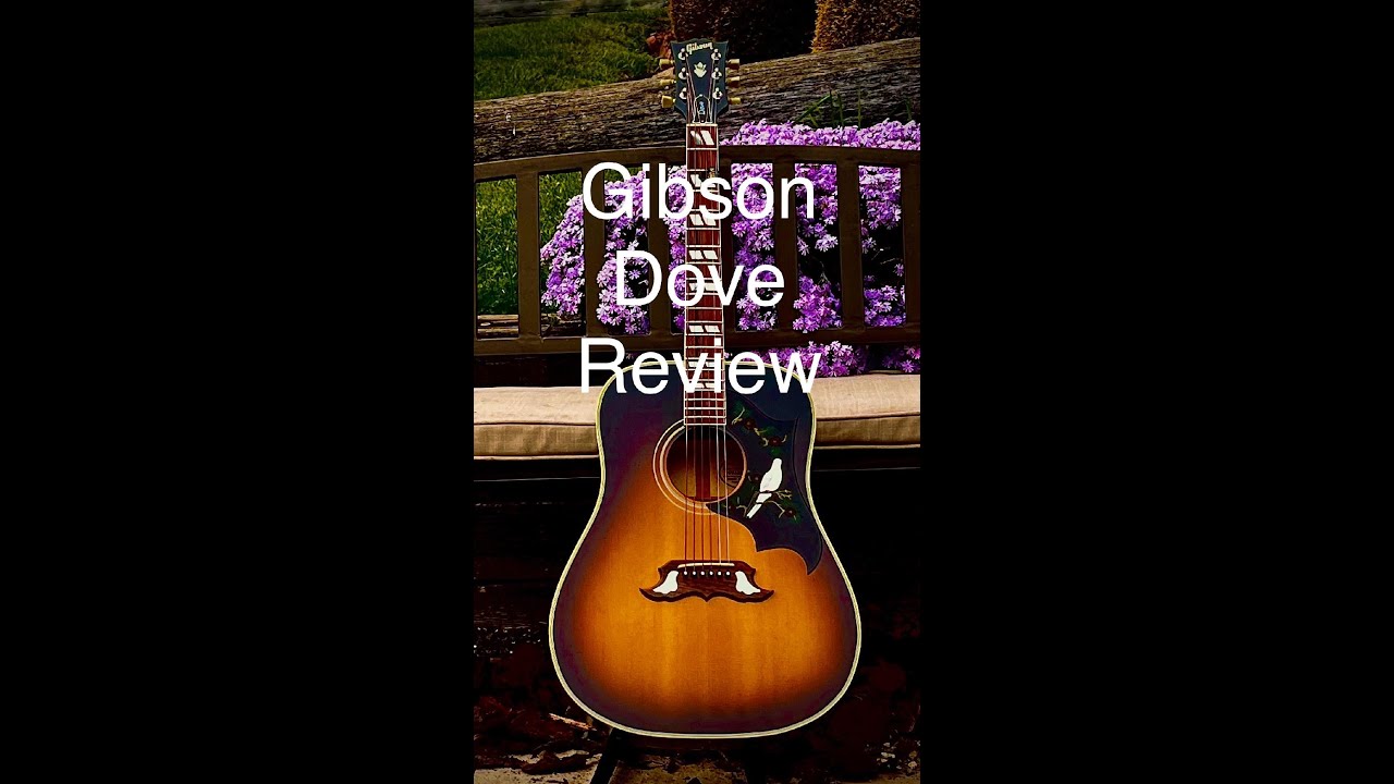 Gibson Dove - A Rare Bird, Indeed!!