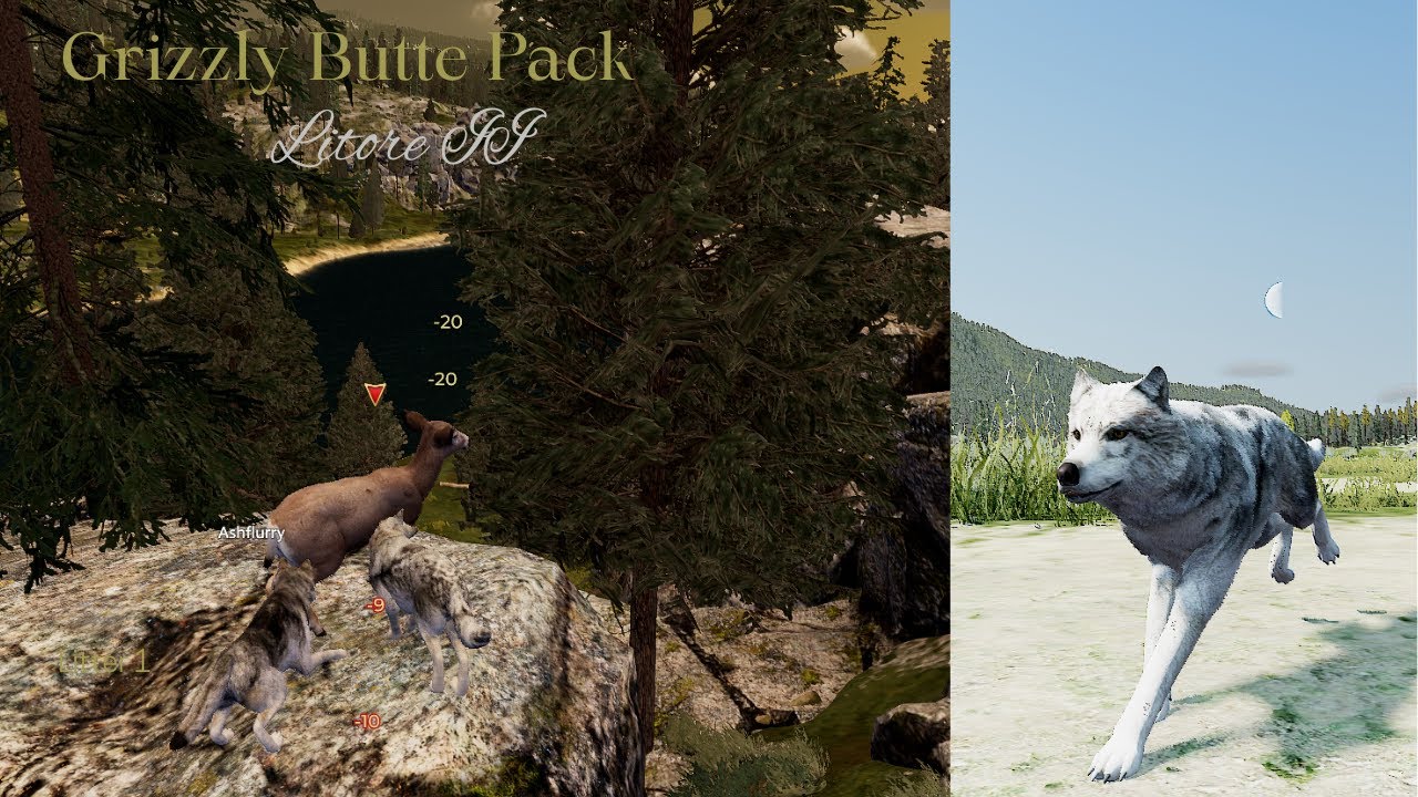 Grizzly Butte Pack - Litore II L1 - Raise Pups [WolfQuest Saga]