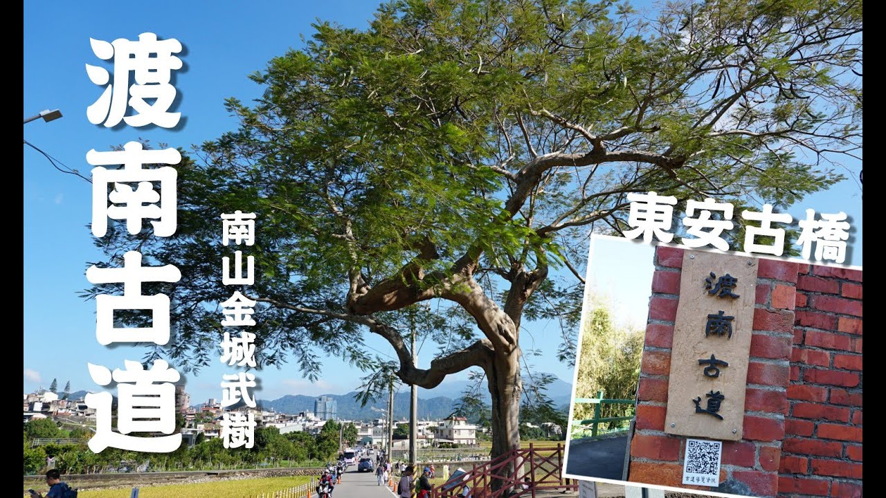 渡南古道o型環走，仙草一分田，東安古橋走到南山金城武樹，順訪百年茄苳樹，得月樓，羅屋書院，南山老水車，關西步道！