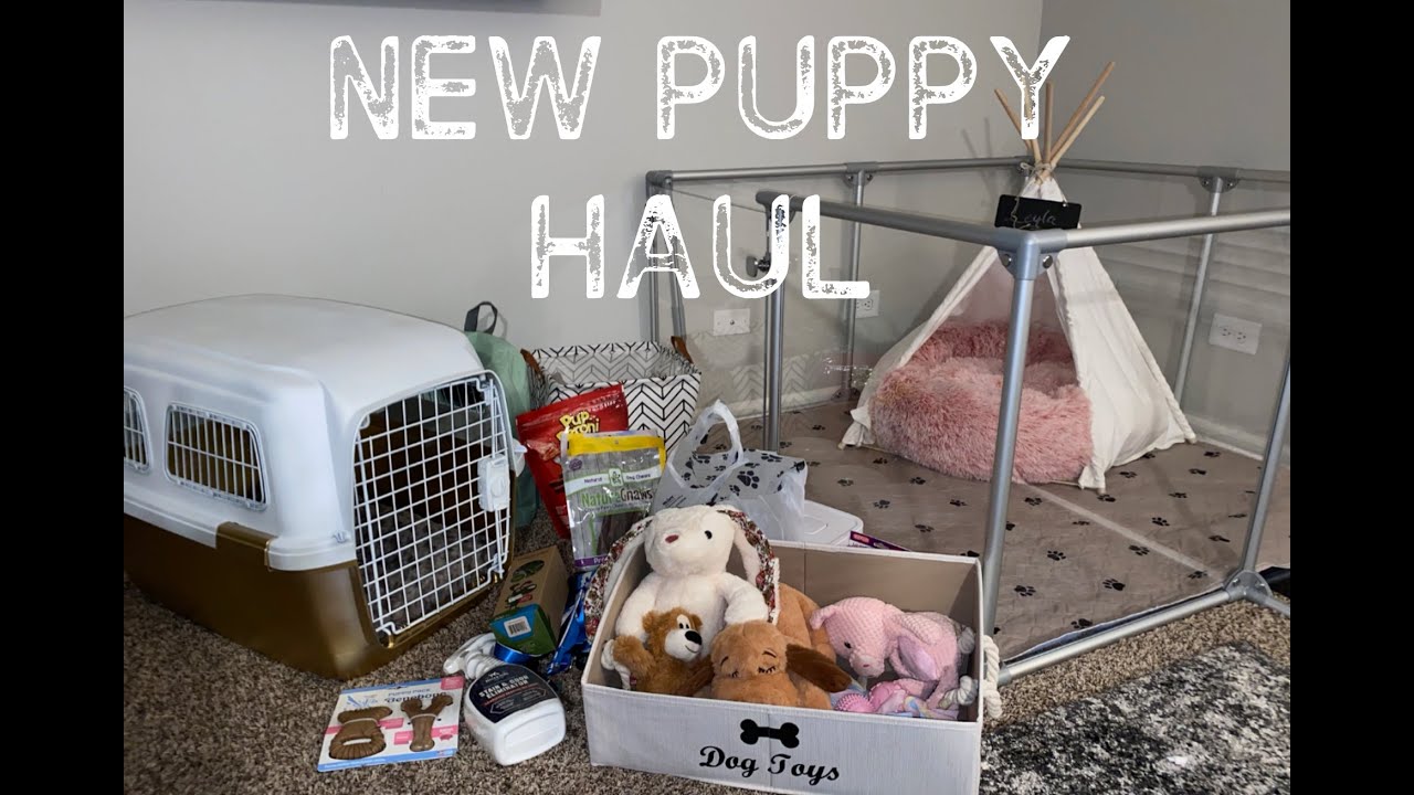 HUGE NEW PUPPY HAUL...(she's spoiled) + GIVEAWAY *CLOSED*