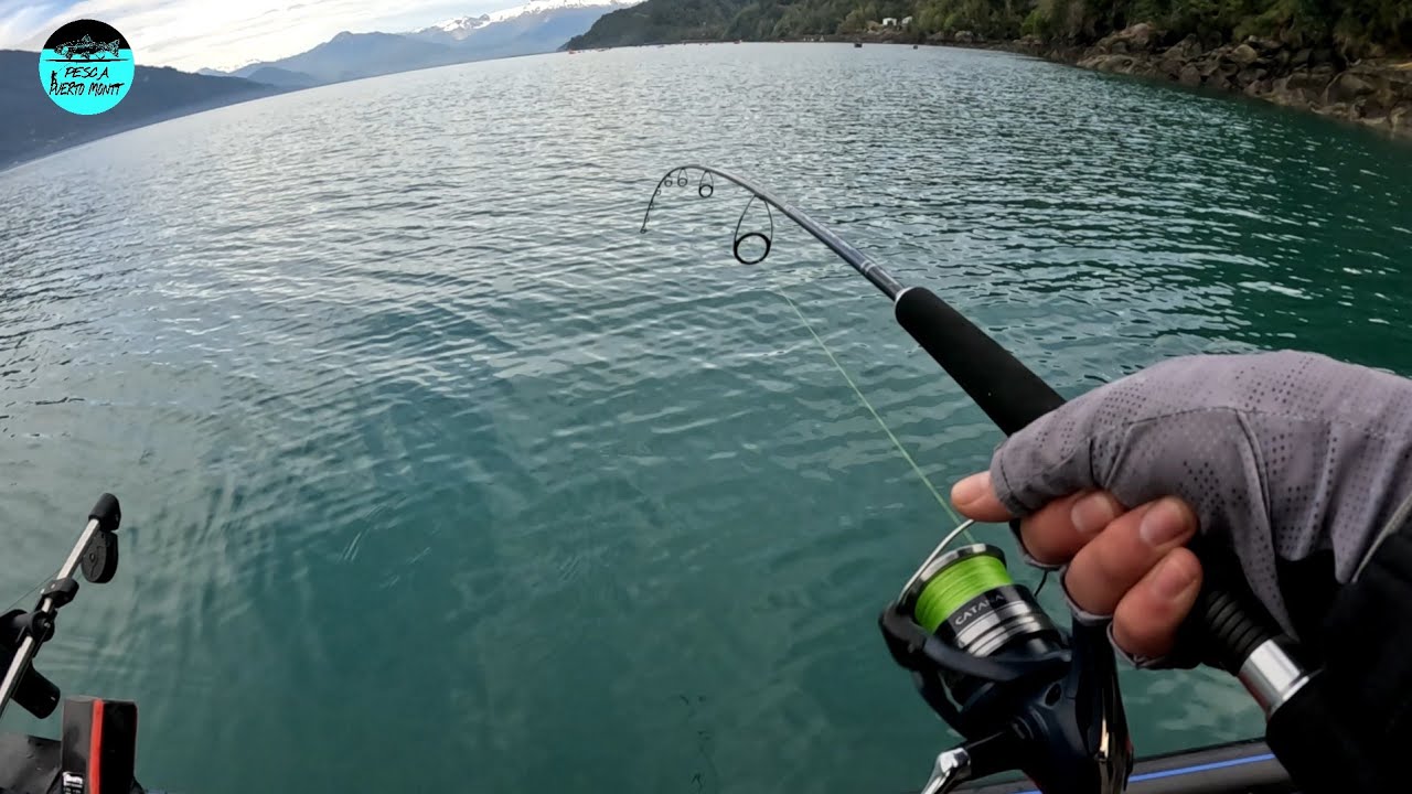 Jornadas de muchos pique 🎣🔥/sur de chile.