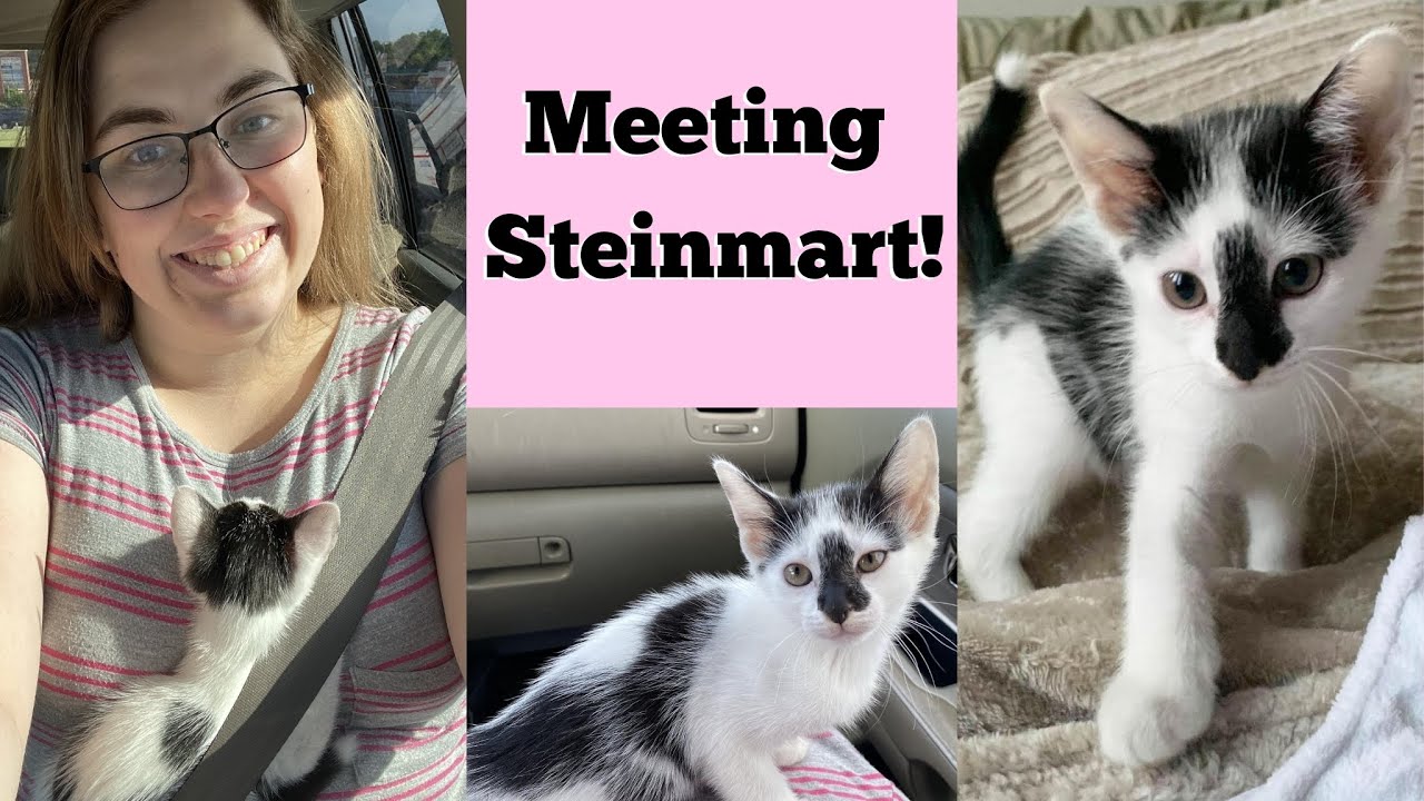 Meeting Our First Foster Kitten!