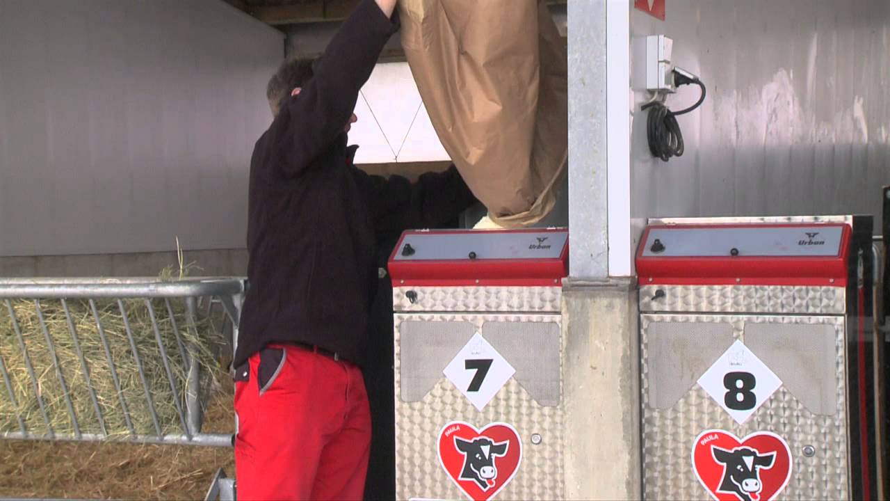 Urban Kalvermama Paula NEDERLANDS 720p