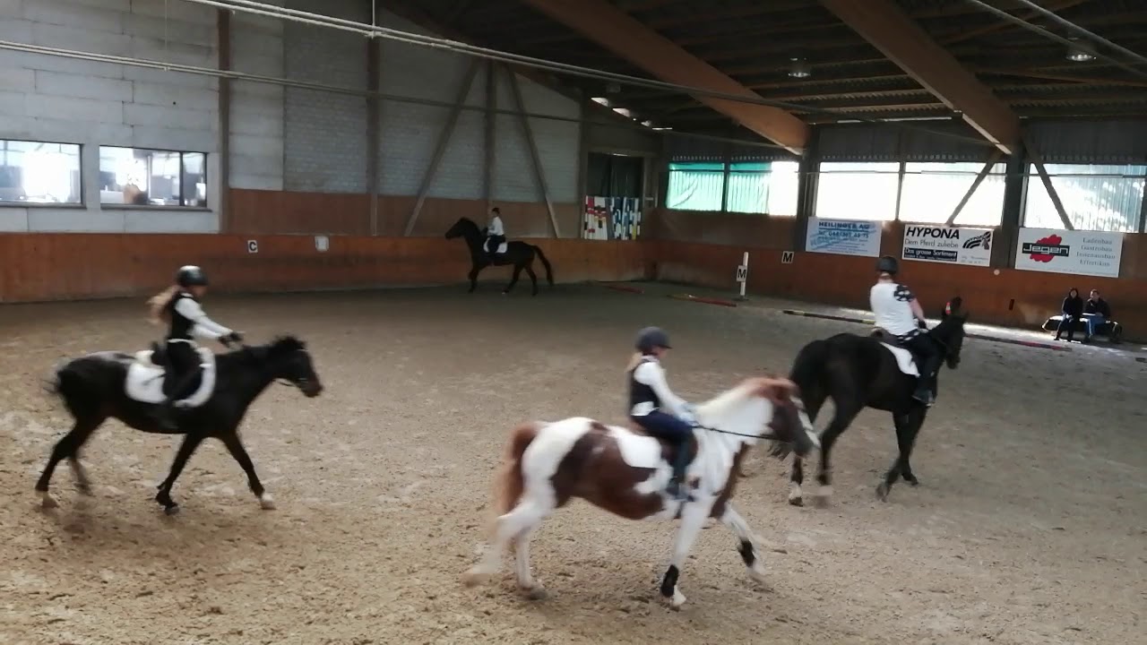Reiter Diplom Mutter & Tochter 2019