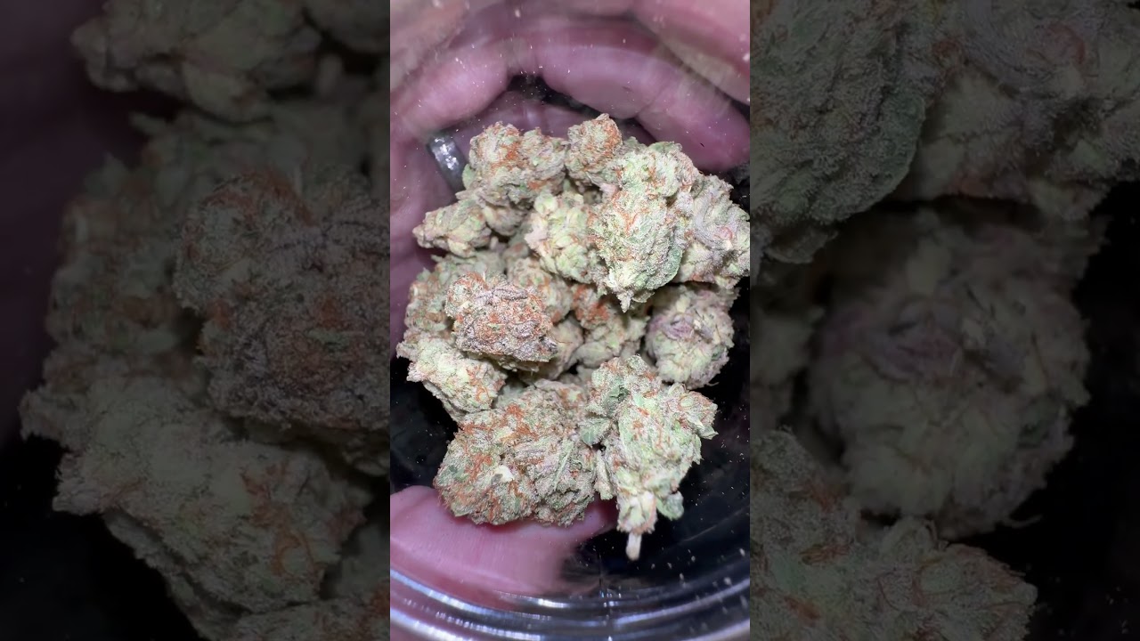 Strain Review (Grape Diamond) #thcareview #thca #hempreview