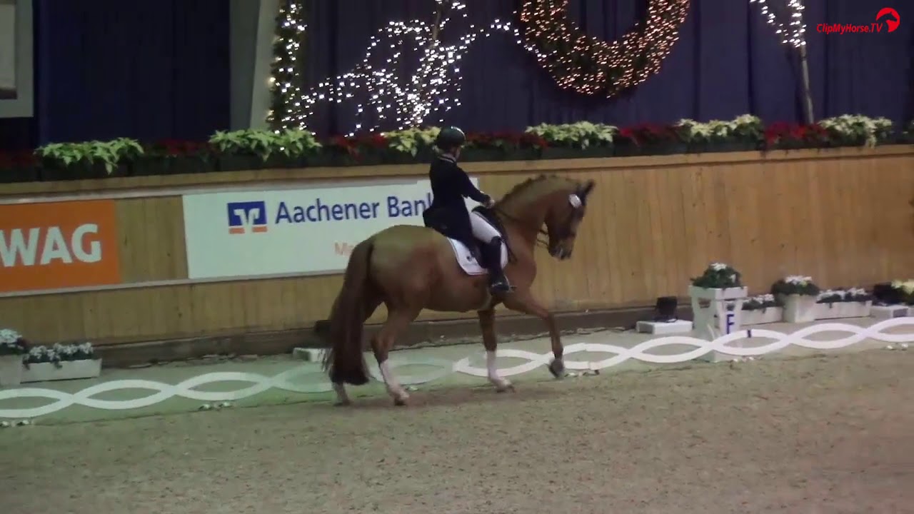 Paulina Holzknecht | Wells Fargo | Kür Junge Reiter | Aachen Dressage Youngstars 2017