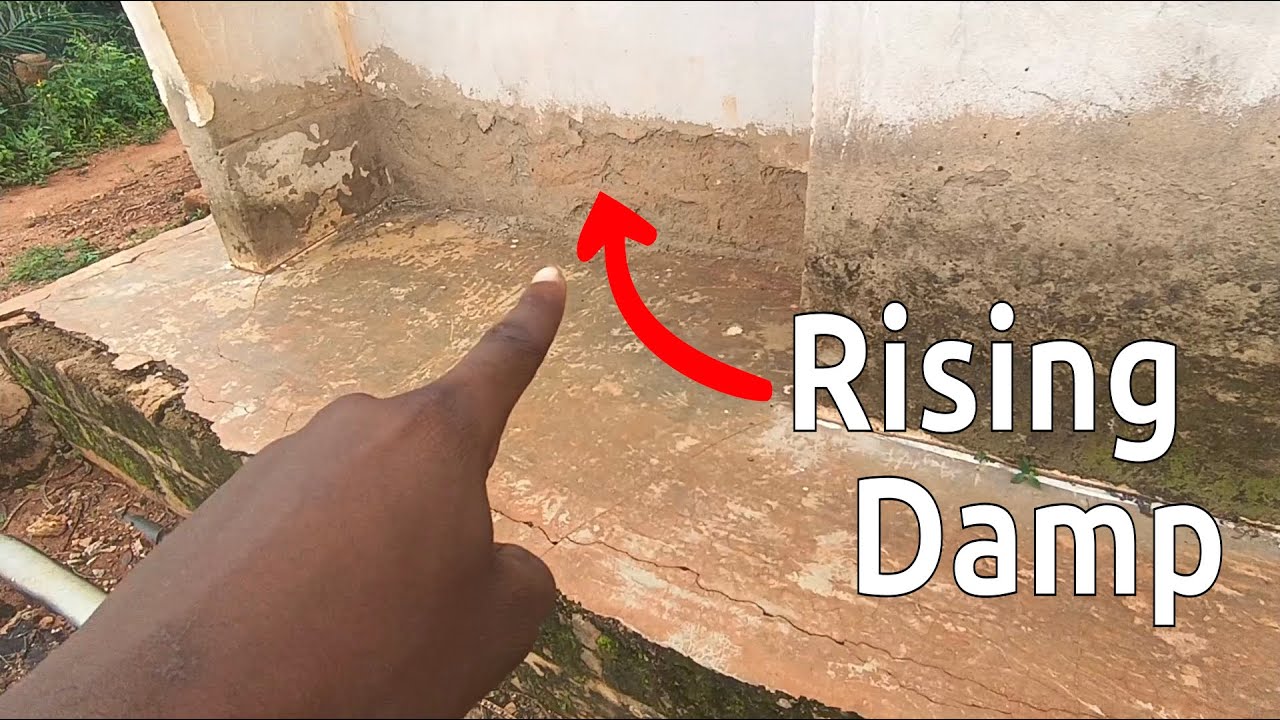 How to prevent rising damp — Complete guide
