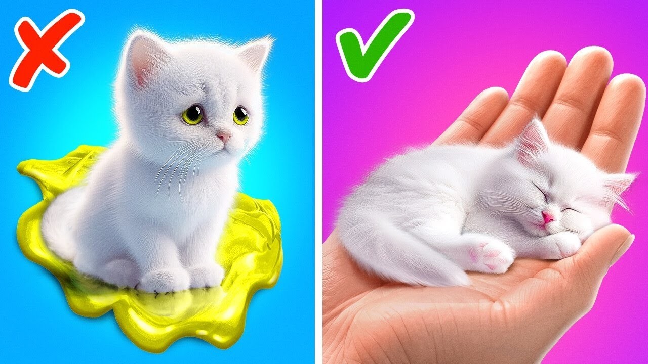 Salvamos este gatinho fofo!😻💖 Gadgets para gatos fofos e truques para animais de estimação