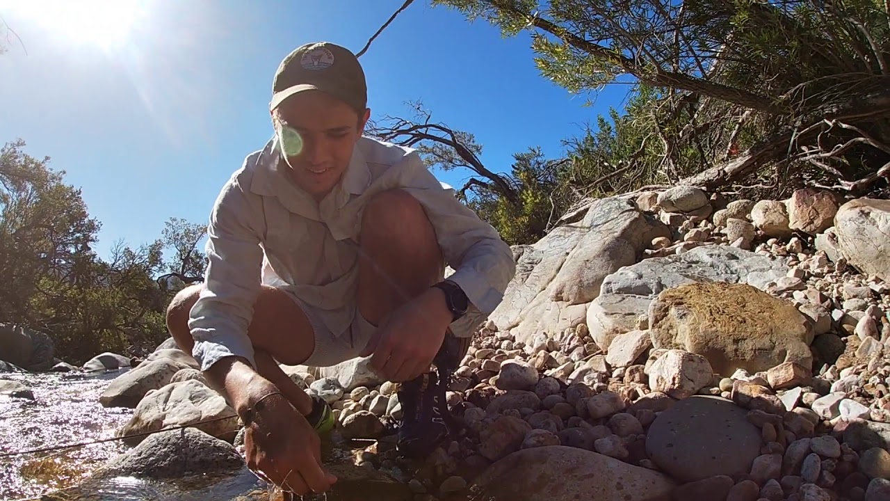 Fishing for Trout, South Africa - catching trout on dry flies in Jonkershoek Stellenbosch.