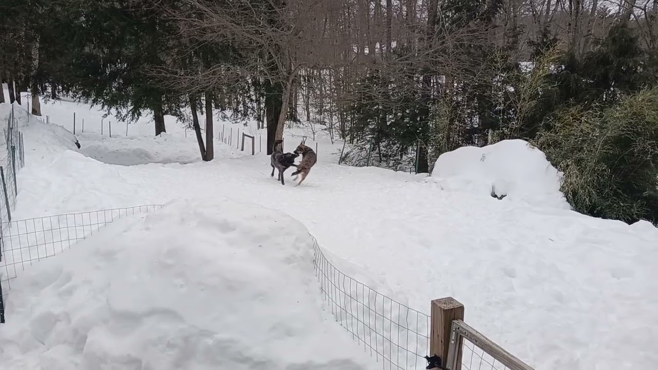 Tuesday afternoon Feb 10, 2026