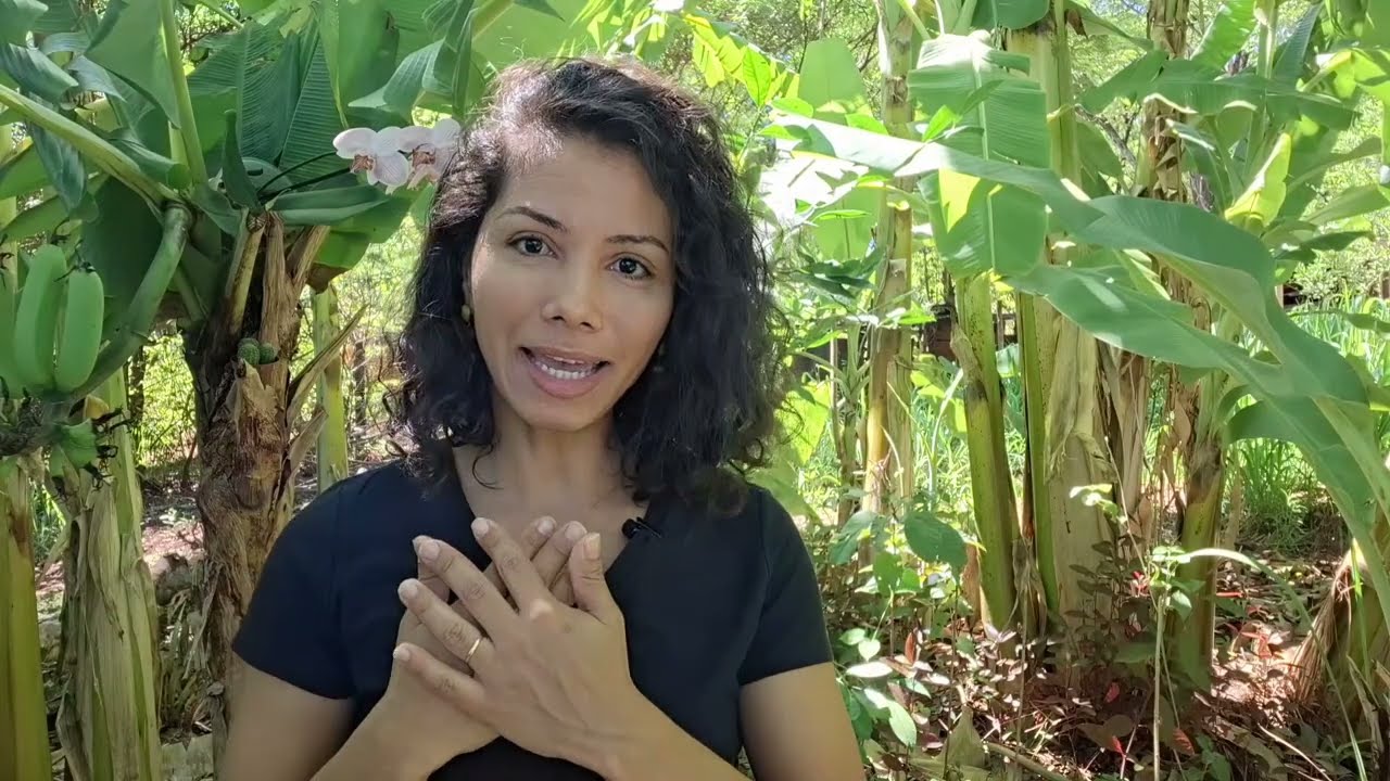 Dezembro e o Arquétipo da Criança Divina.