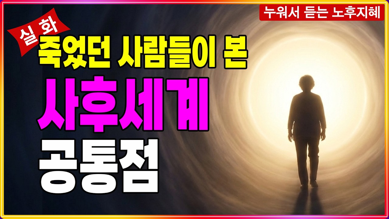 죽었다 살아난 사람들이 본 충격적인 공통점_사후세계의 존재를 믿을 수밖에 없는 이유│인생 조언│노후 지혜 │행복한 노후