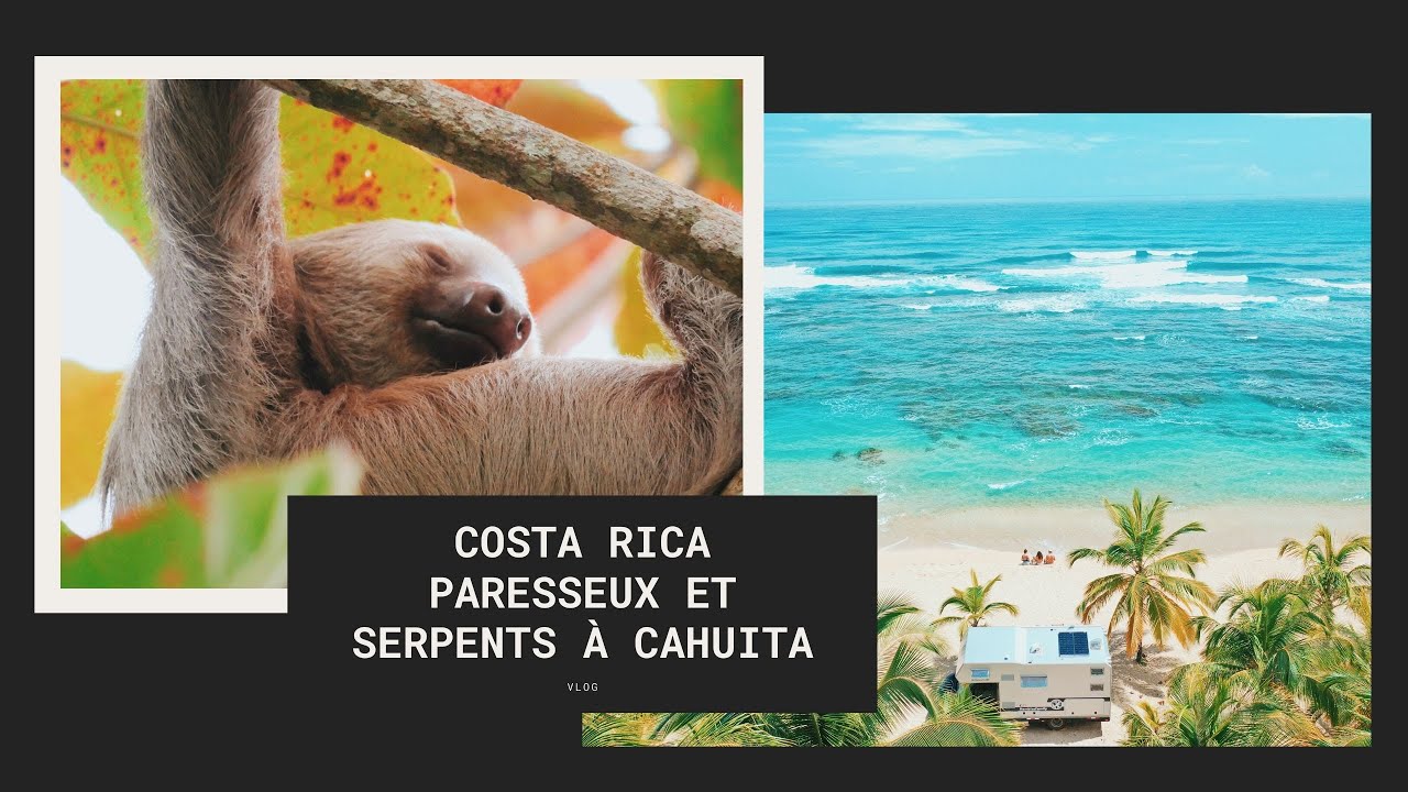 Gros coup de coeur à CAHUITA au COSTA RICA - on découvre les paresseux et les serpents!