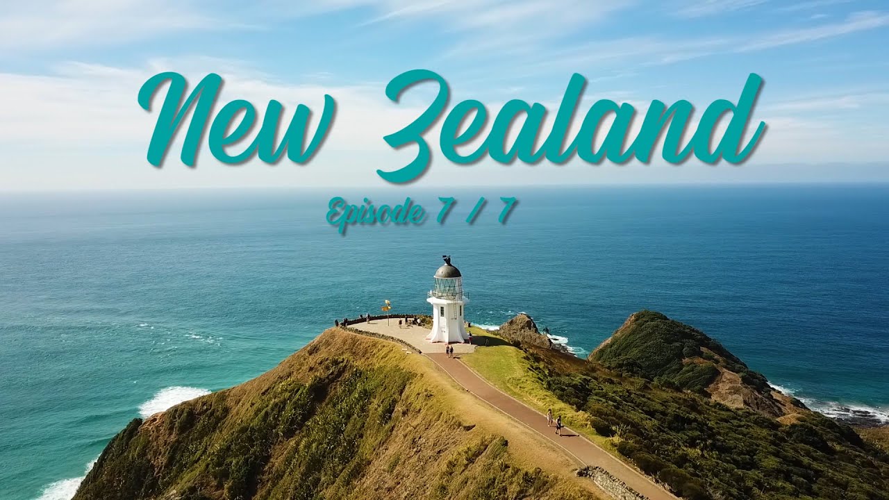 🇳🇿 NEW ZEALAND - ROAD TRIP PART 7 - FROM PIARERE TO AUCKLAND