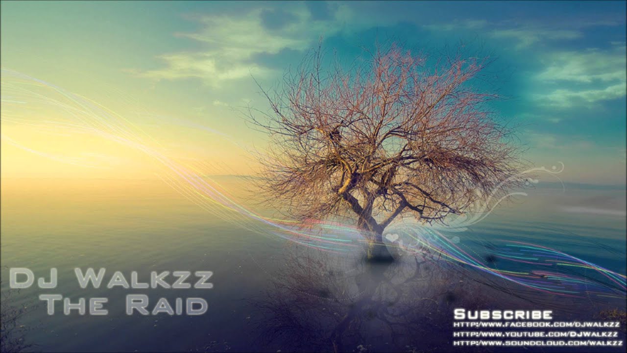 Alan Walker - The Raid
