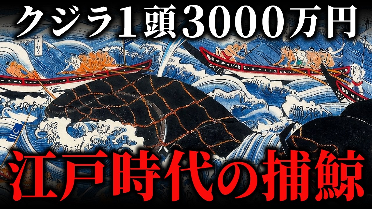 1頭で7つの村が潤う！？江戸時代の「捕鯨」が現代の大企業に匹敵する衝撃の理由