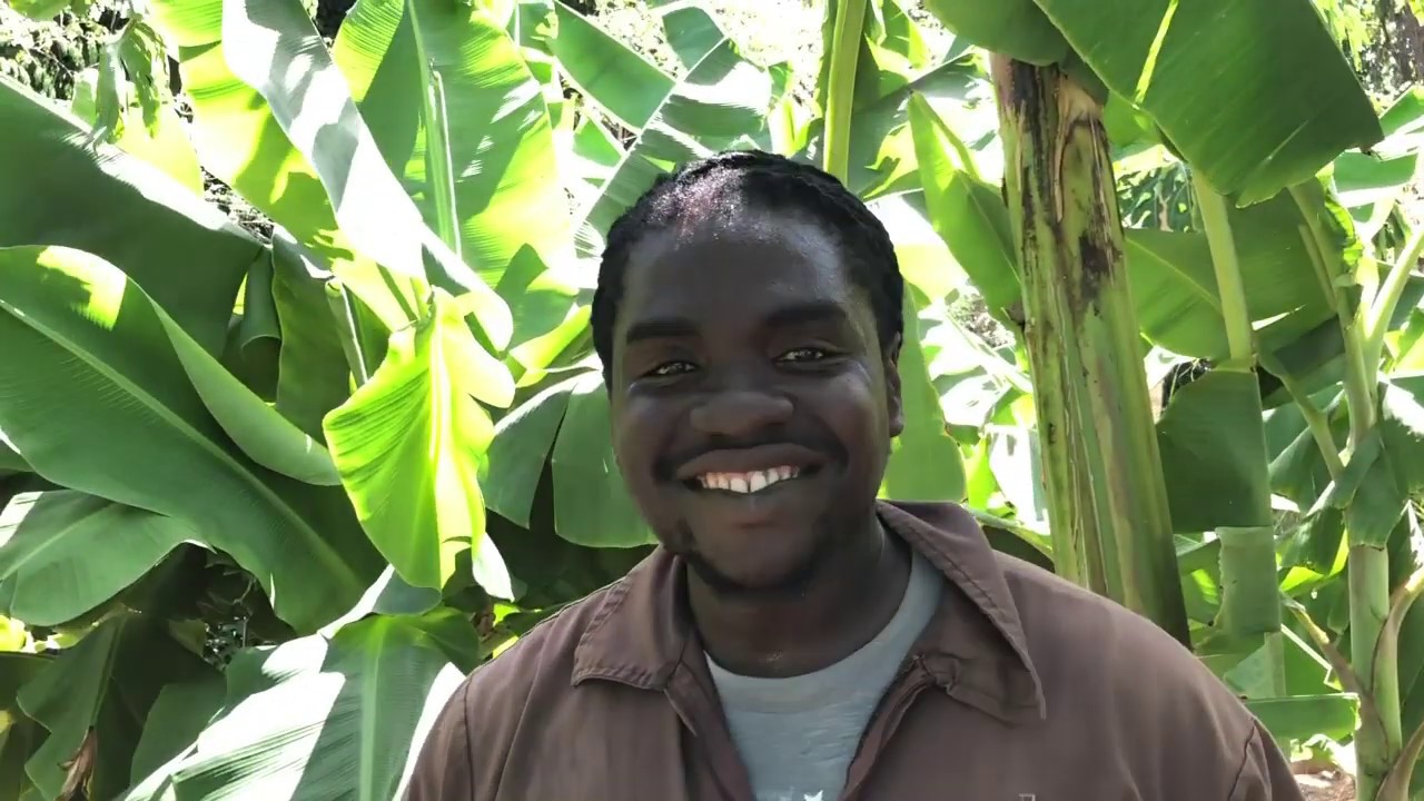 Martin's Organic Garden, Antigua