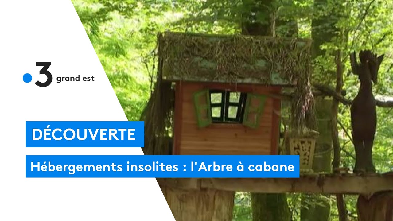 Hébergements insolites : l'Arbre à cabane
