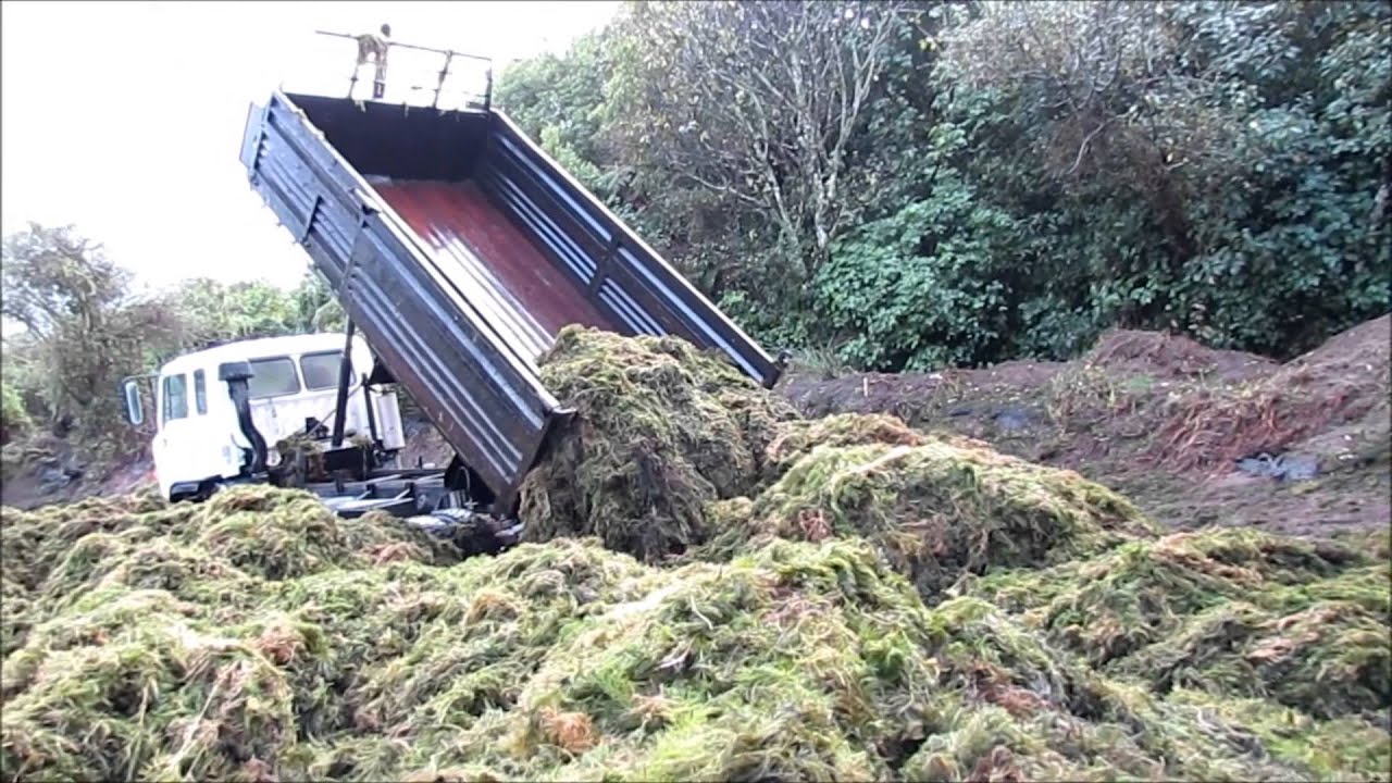 Aquatic Weed harvesting at Lake Rotoehu 2014
