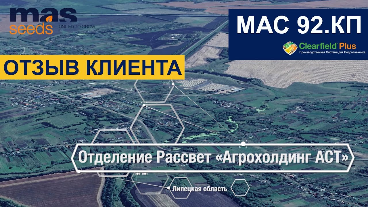 Какой урожай принес гибрид подсолнечника МАС 92.КП в Агрохолдинг 