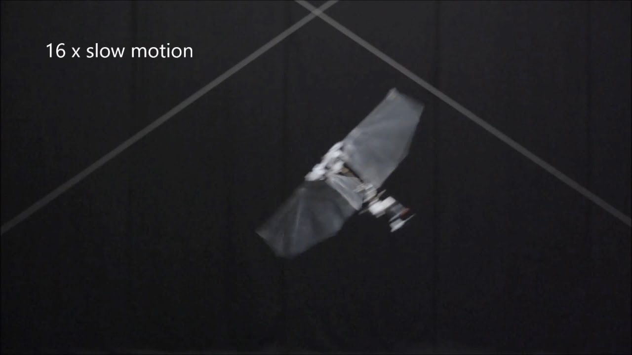DelFly Nimble flying robot mimics insects