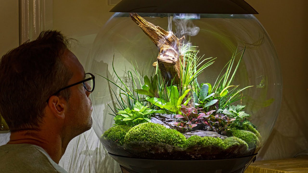 How to create a Beautiful biOrb AIR with Scaped Nature