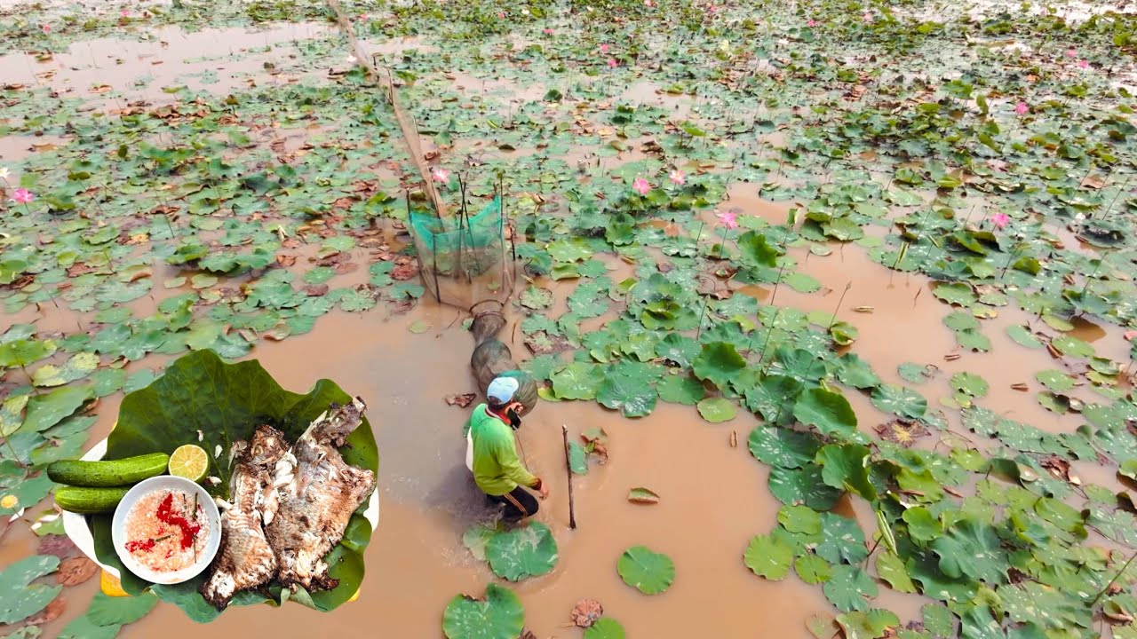 Cuộc Sống Miền Tây Thăm Dớn Cá Tép Món Cá Rô Phi Nướng Muối Hột #cuocsongmientay #monngondanda 