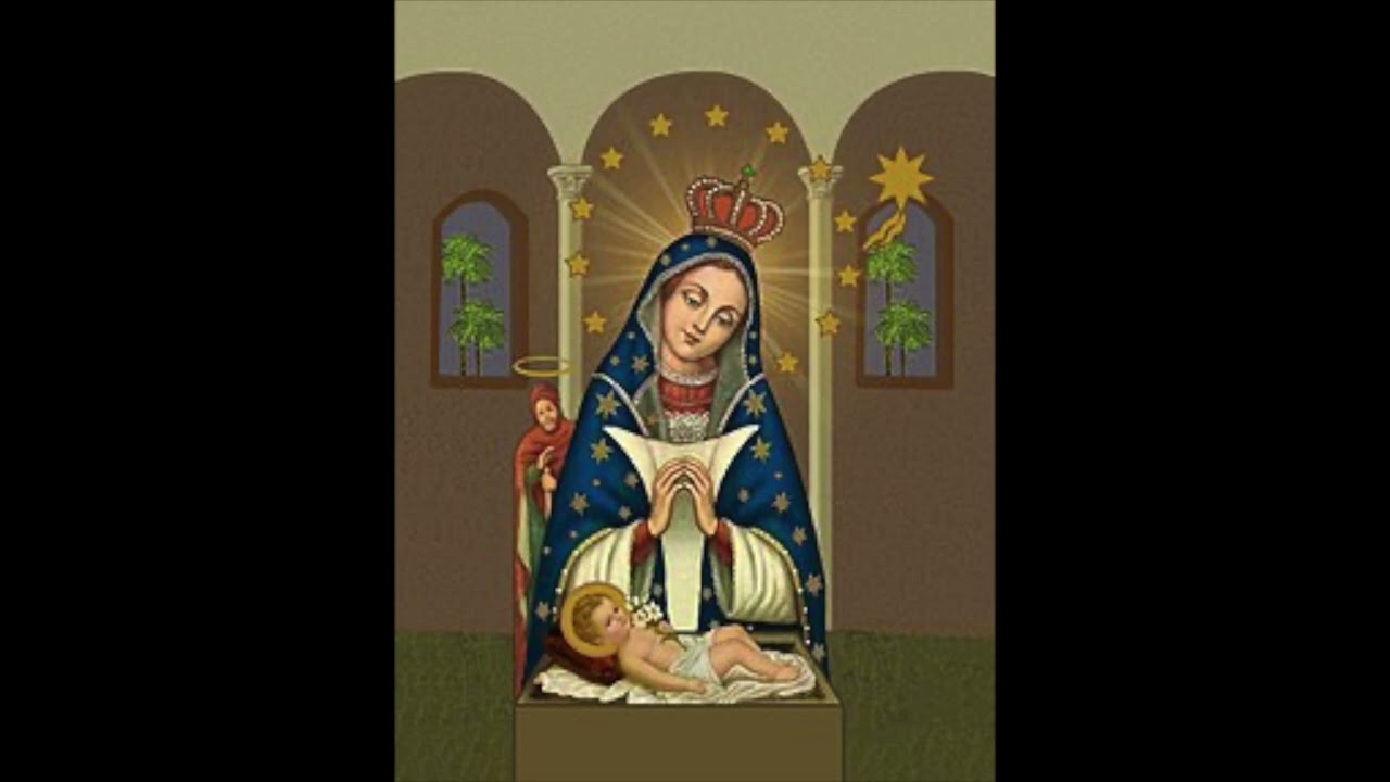 Virgin De AltaGracia Palo | 21 Divison