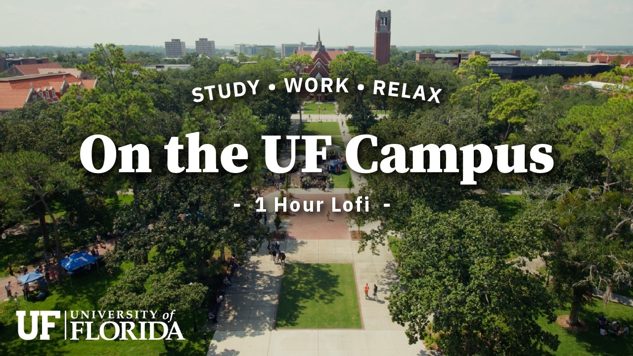 1 hour lofi - relax in Plaza of the Americas | University of Florida
