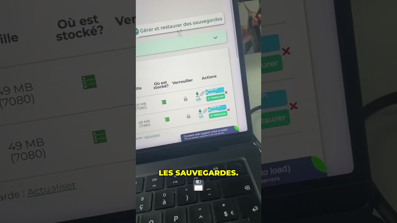 Sauvegarder son site WordPress