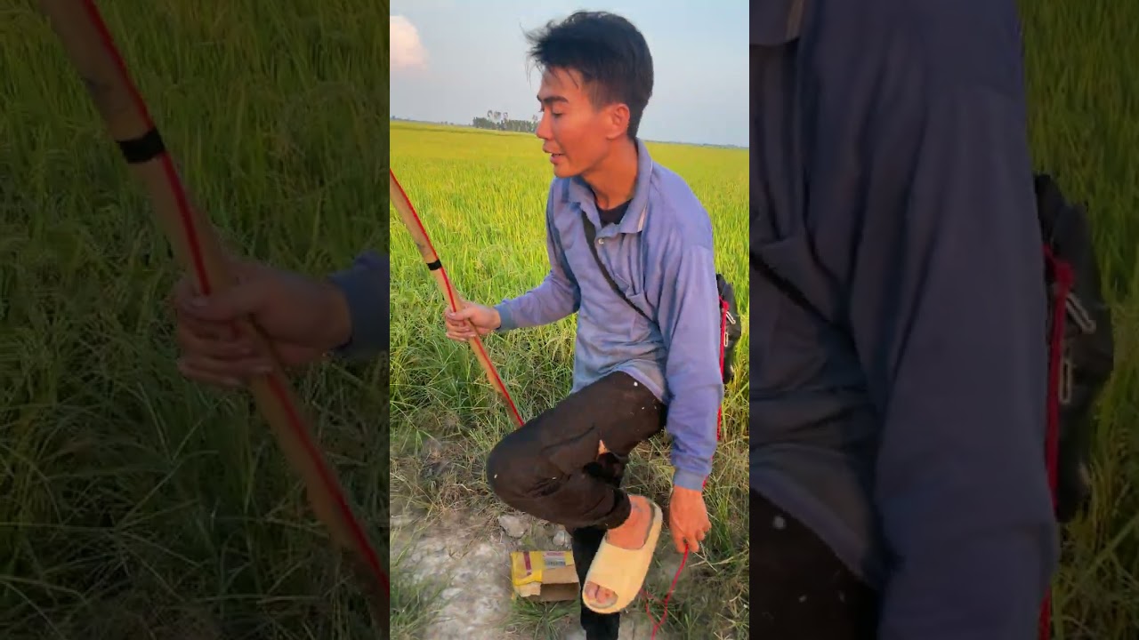 Máy cắt cơ 0336448910
