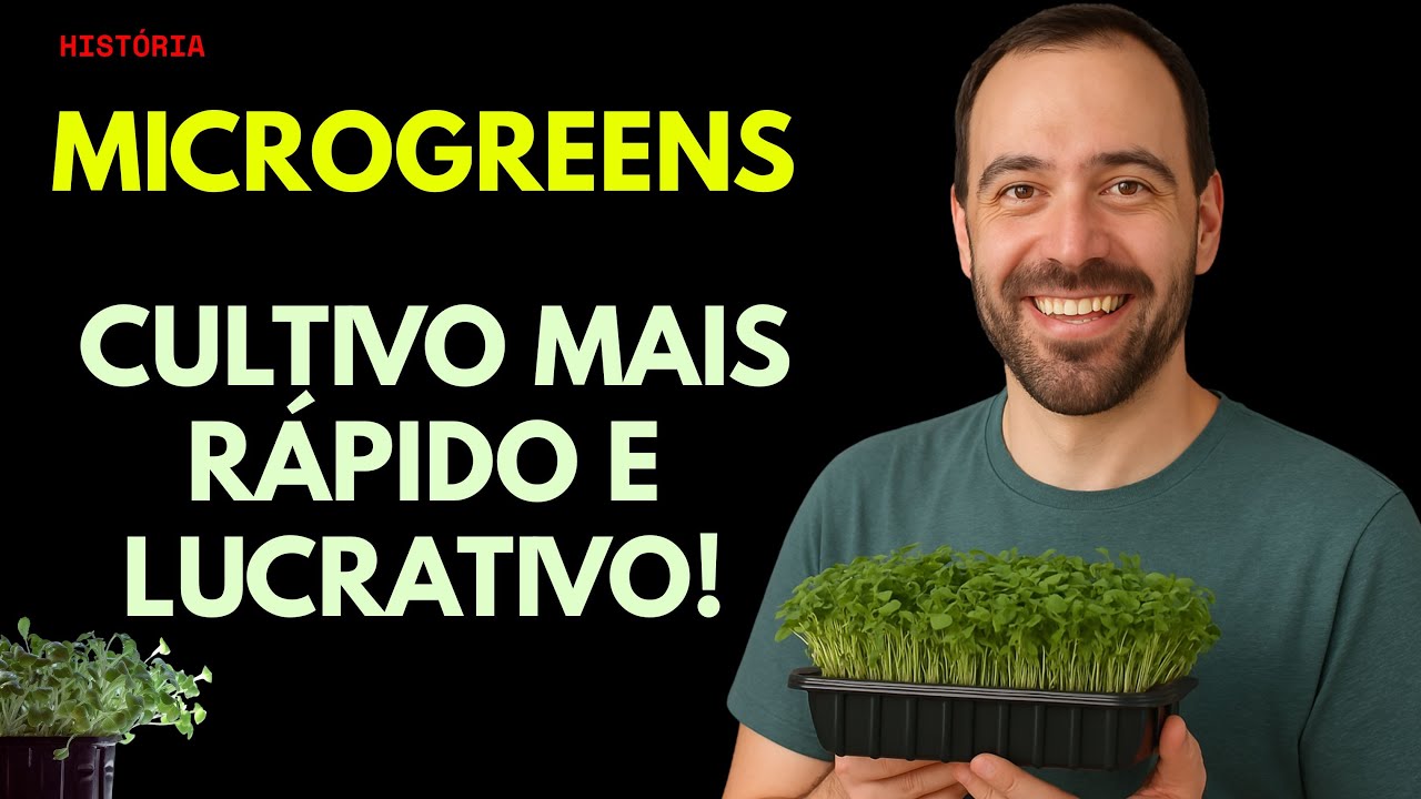 Como ganhar dinheiro cultivando MICROGREENS em casa.