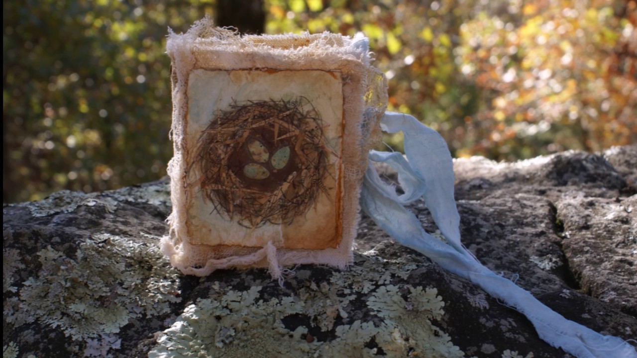 An Artist Field Kit Promo Video Now on DVD!