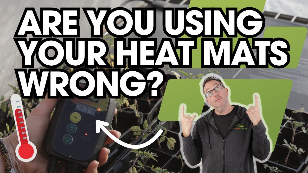 How to Use a Heat Mat for Starting Seedlings | Beginner-Friendly