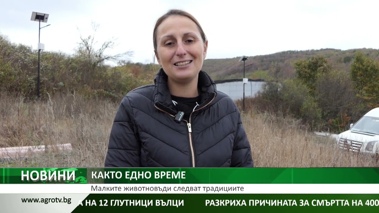 Малките животновъди следват традициите