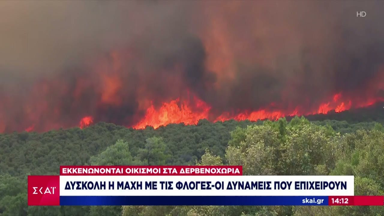 Τα νεότερα από τη δύσκολη μάχη με τις φλόγες στα Δερβενοχώρια  | Μεσημβρινό Δελτίο | 18/07/2023