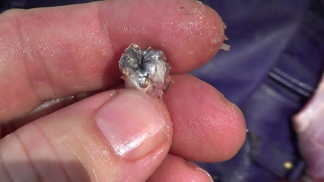 .380 Federal HST 99 gr JHP , Winchester 95 gr JHP and Remington 95 gr FMJ test in a meat target