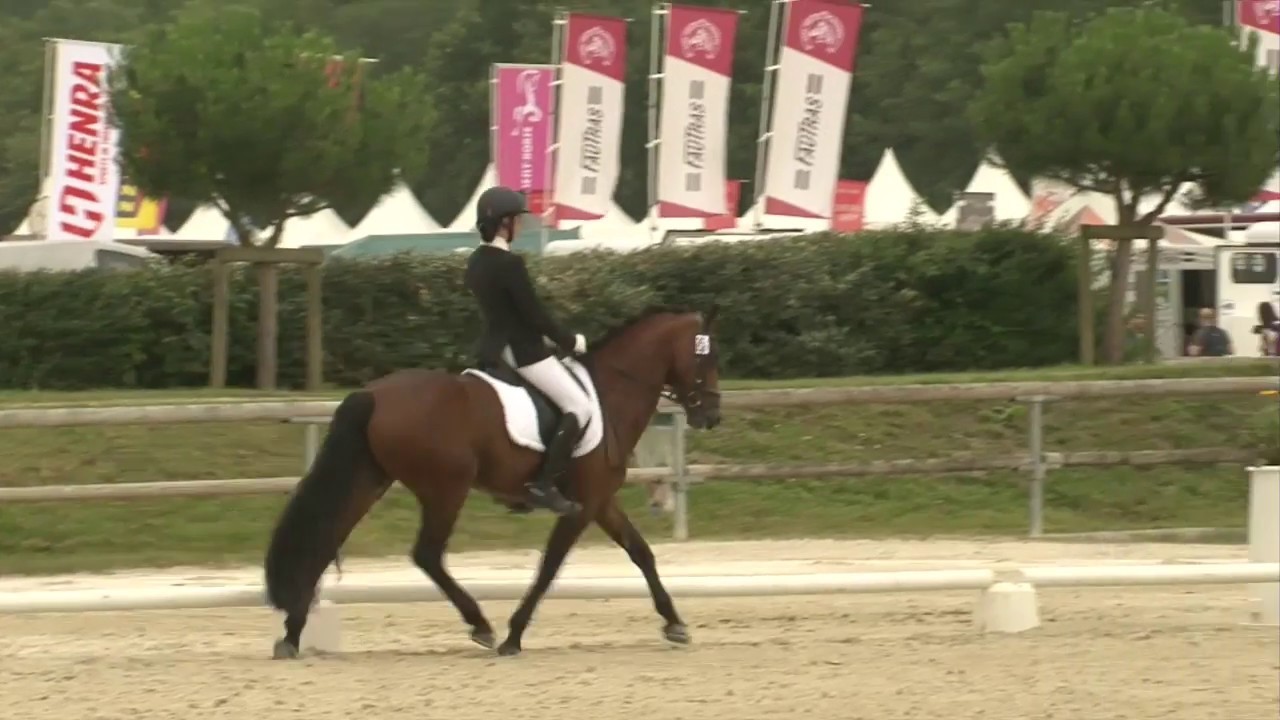 Dressage As poney 1 grand prix lamotte Mathilde Vial et Ushuaia Eliza Modesty