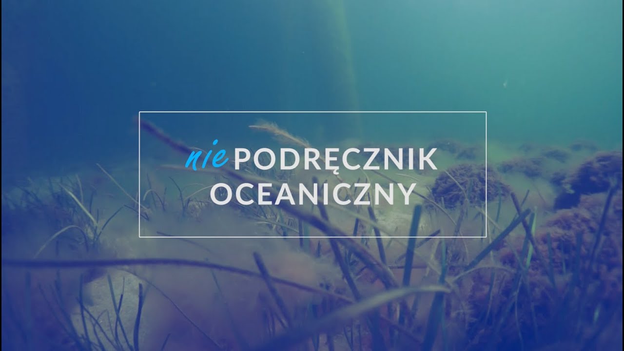 Niepodręcznik Oceaniczny odc.50, 