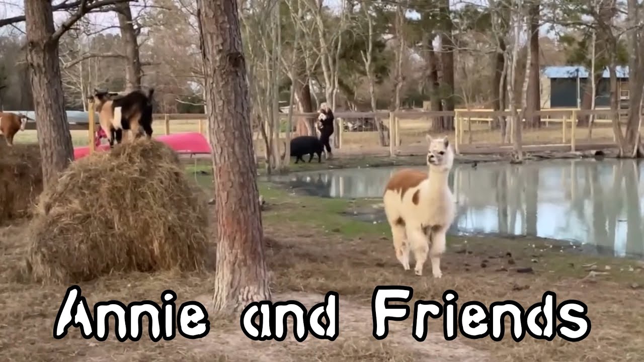 Who Remembers the original LITTLES?
