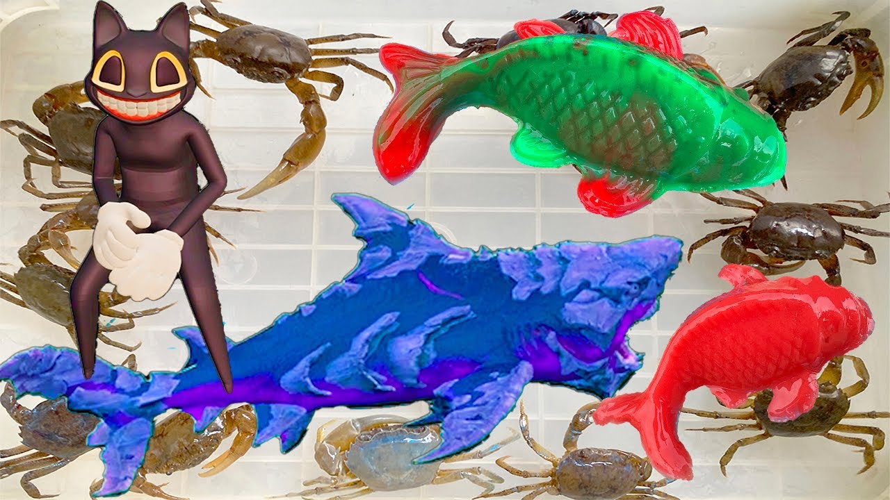 Kem Ốc Chanel ra bờ ao bắt cá mập Baby Shark, tung tung tung sahur, cứu con cá, con cua, con chó.
