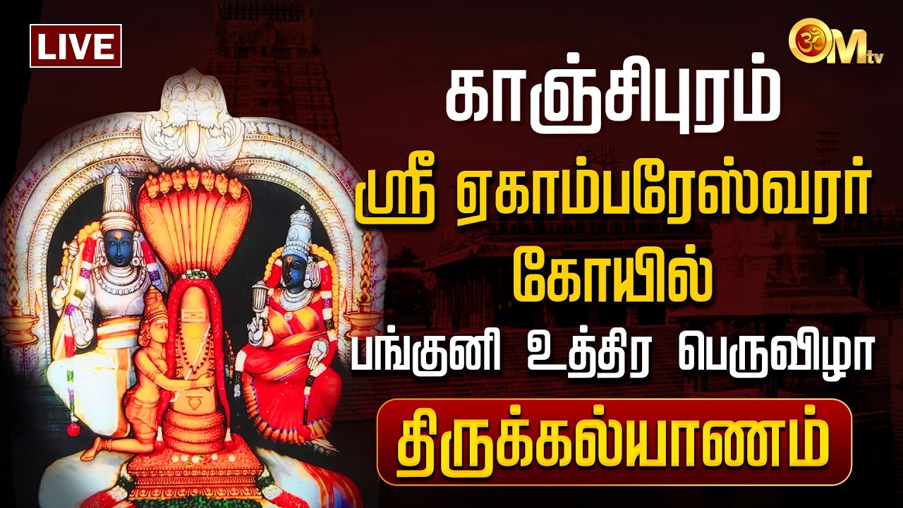 🔴LIVE:காஞ்சிபுரம் ஸ்ரீஏகாம்பரேஸ்வரர் கோயில் - பங்குனி உத்திரம் - திருக்கல்யாணம் | Kanchipuram | OMTV