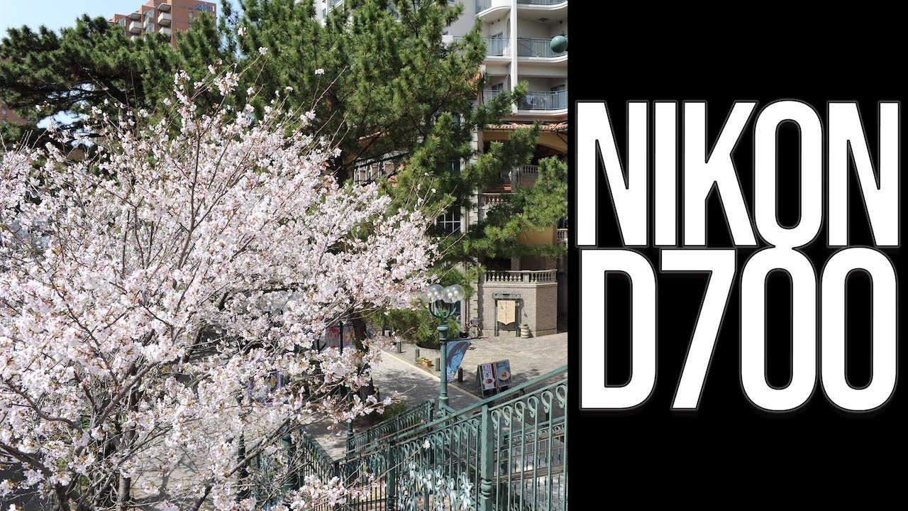 NIKON D700 - TAKARAZUKA CHERRY BLOSSOMS [宝塚の桜]・JAPAN