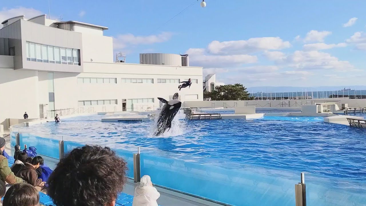 2026年須磨シーの可愛い子ちゃん にあいに行く