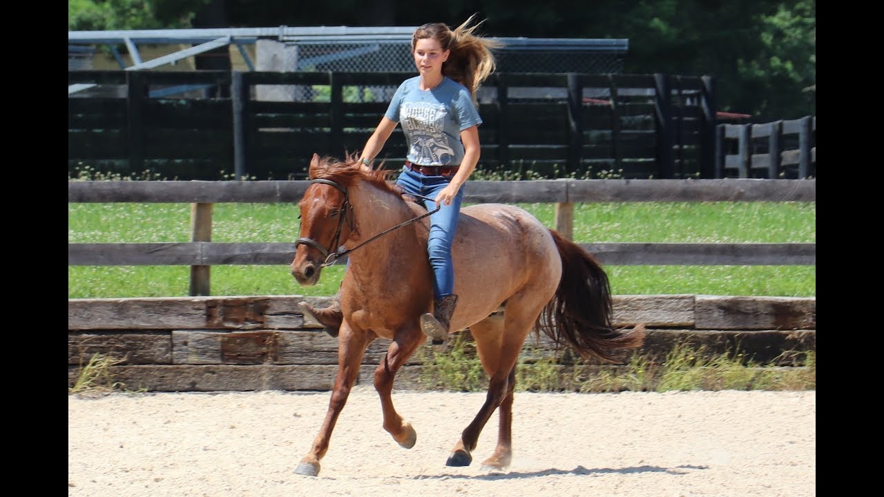 Kentucky Extreme Mustang Makeover 2018 - Eevee