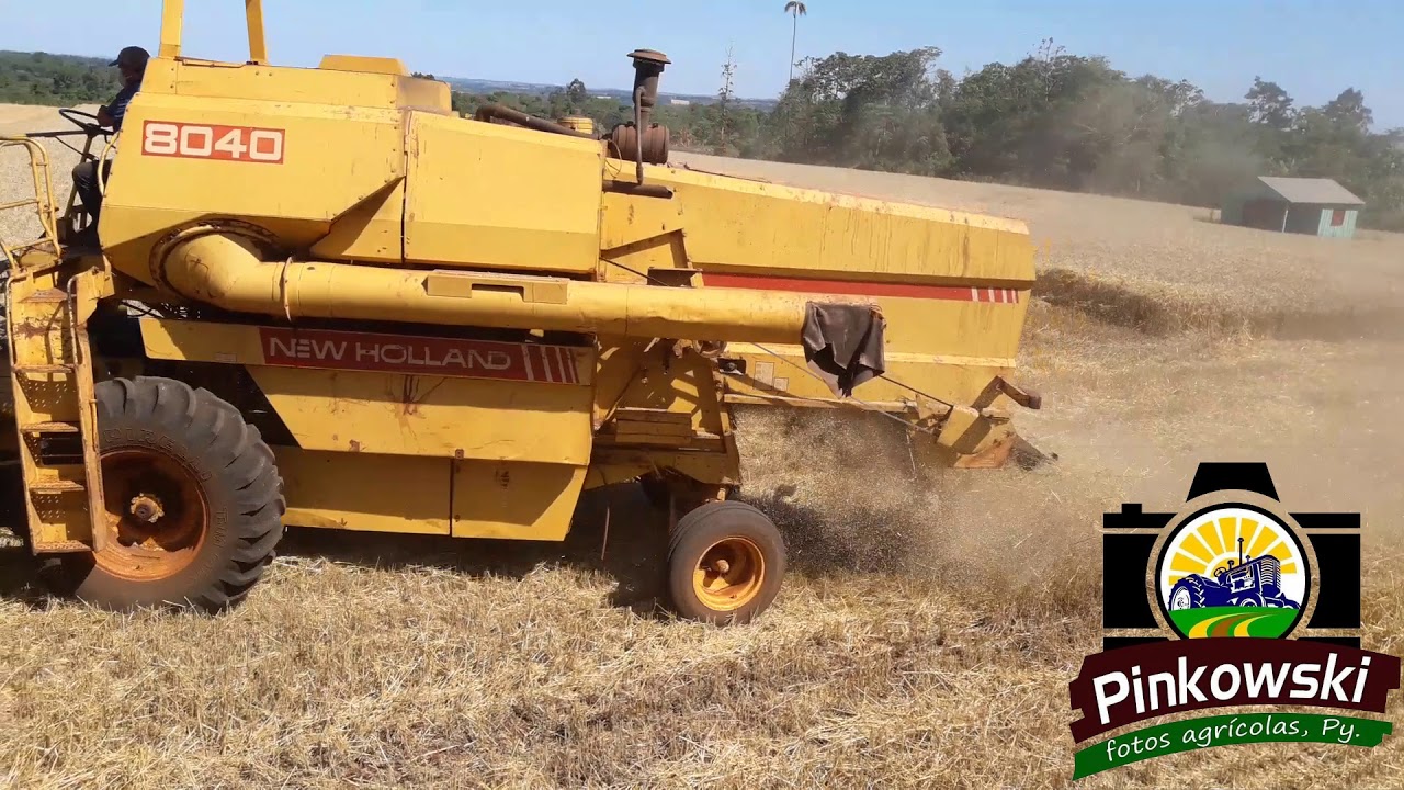 new holland 8040 con case ih 95 cosecha trigo 2019