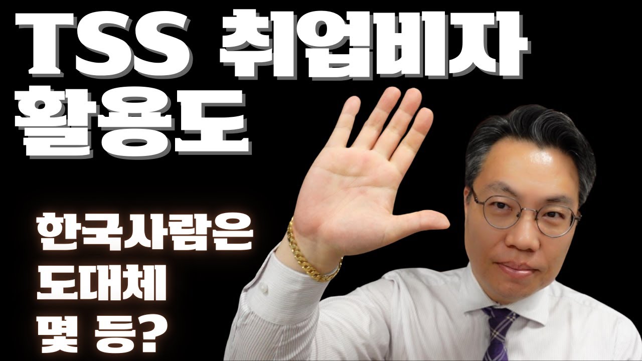 TSS 비자 활용 국가순위 - 제발 한국사람들 TSS 비자 좀 활용하세요.