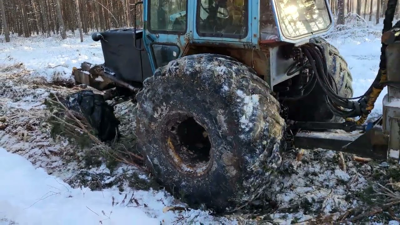 Remade MTZ 82 forwarder in the swamp