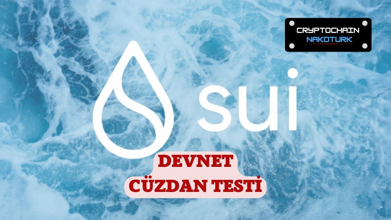 Sui Devnet C&uuml;zdan Test Rehberi