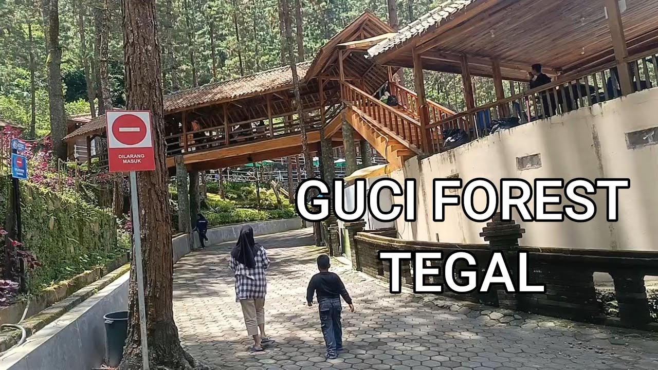 GUCI FOREST